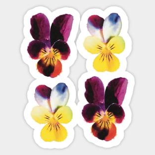 Johnny Jump-Up Flowers Yellow and Purple Sticker